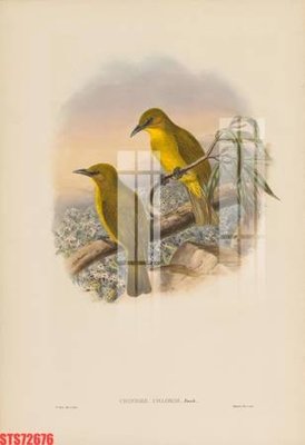 File tranh Tranh sơn dầu phương tây tổng hợp STS72676 (bản gốc) treo phòng ăn