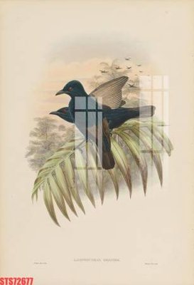 File tranh Tranh sơn dầu phương tây tổng hợp STS72677 (bản gốc) trang trí văn phòng