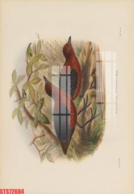 File gốc Tranh sơn dầu phương tây tổng hợp STS72684 (chuẩn CMYK) cho nhà in