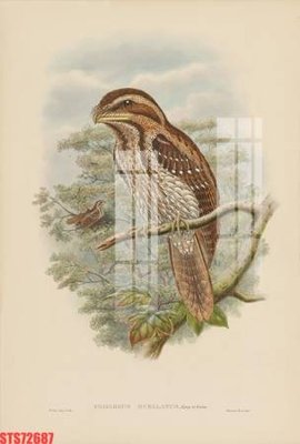 Tải file Tranh sơn dầu phương tây tổng hợp STS72687 (gốc) chủ đề tâm linh