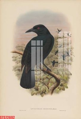 File gốc in ấn Tranh sơn dầu phương tây tổng hợp STS72692 độ phân giải cao