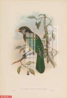 File gốc Tranh sơn dầu phương tây tổng hợp STS72700 (in 3D) cho trang trí