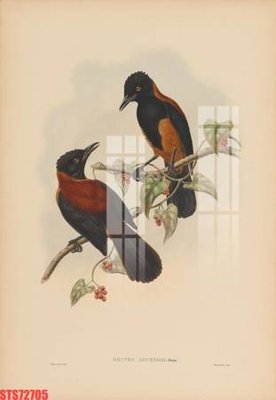 File gốc Tranh sơn dầu phương tây tổng hợp STS72705 (AI/EPS) cho in ấn