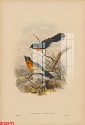 Tải file Tranh sơn dầu phương tây tổng hợp STS72711 (PSD) cho in ấn quảng cáo