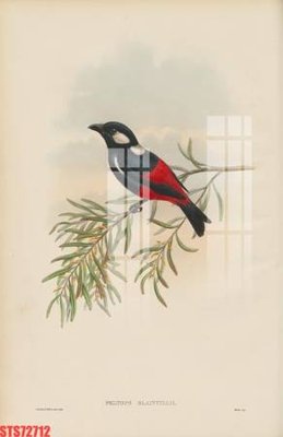 Tải file Tranh sơn dầu phương tây tổng hợp STS72712 (gốc) chủ đề phong thủy