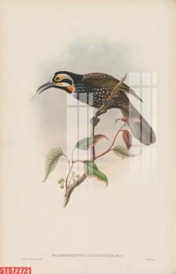 Hình ảnh gốc Tranh sơn dầu phương tây tổng hợp STS72721 (để in khổ lớn)