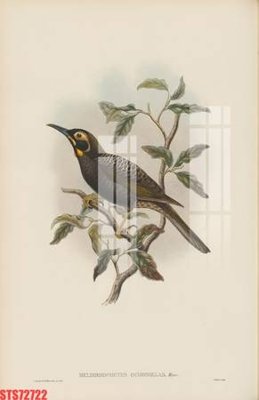 Download file Tranh sơn dầu phương tây tổng hợp STS72722 (gốc) in mica bàn thờ