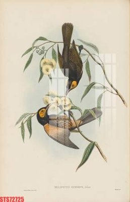 File gốc Tranh sơn dầu phương tây tổng hợp STS72725 (in lụa) hoa văn cổ điển