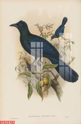 File PSD Tranh sơn dầu phương tây tổng hợp STS72732 (gốc) cho in quảng cáo