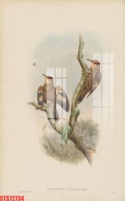 File PSD Tranh sơn dầu phương tây tổng hợp STS72734 (gốc) nhiều lớp (multi-layer)