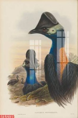 Tải file Tranh sơn dầu phương tây tổng hợp STS72735 (ảnh gốc) file TIFF