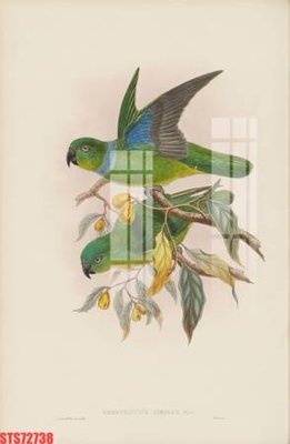 File tranh gốc in trần nhà Tranh sơn dầu phương tây tổng hợp STS72738 3D