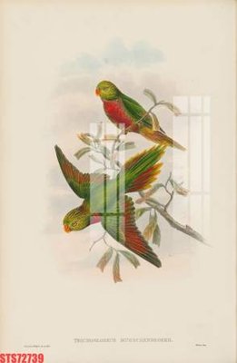 Chi tiết file ảnh Tranh sơn dầu phương tây tổng hợp STS72739 sắc nét