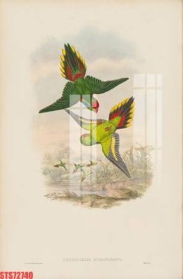 File tranh Tranh sơn dầu phương tây tổng hợp STS72740 (bản gốc) in canvas