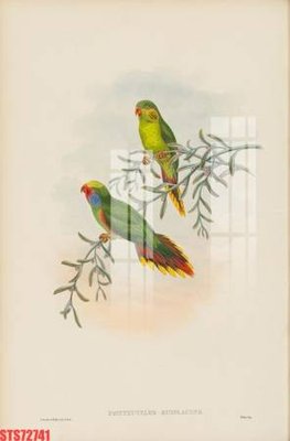 Download file gốc Tranh sơn dầu phương tây tổng hợp STS72741 (in mica) trong suốt