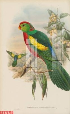 File gốc Tranh sơn dầu phương tây tổng hợp STS72745 (PNG) nền trong suốt