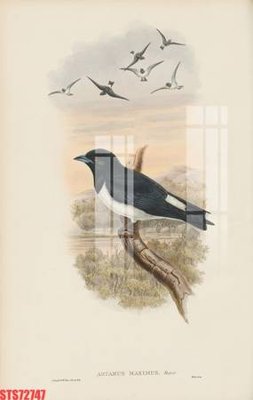 Download file Tranh sơn dầu phương tây tổng hợp STS72747 (gốc) in mica bàn thờ