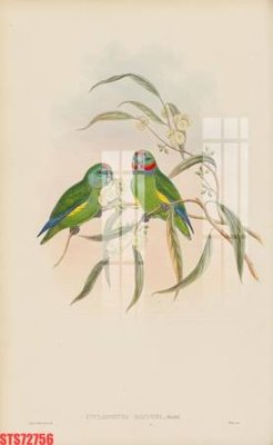 File gốc Tranh sơn dầu phương tây tổng hợp STS72756 (cho in ấn) độc quyền