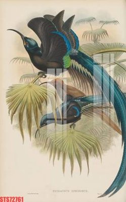 File gốc Tranh sơn dầu phương tây tổng hợp STS72761 (in lụa) họa tiết 3D