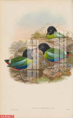 File gốc Tranh sơn dầu phương tây tổng hợp STS72764 (ảnh chi tiết) để in trần