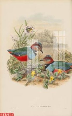 File ảnh Tranh sơn dầu phương tây tổng hợp STS72765 (gốc) in decal dán tường