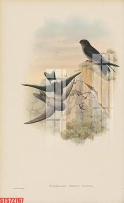 File PSD Tranh sơn dầu phương tây tổng hợp STS72767 (bản gốc) chất lượng nhất