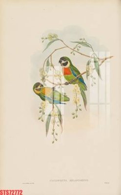 File ảnh Tranh sơn dầu phương tây tổng hợp STS72772 (gốc) in poster