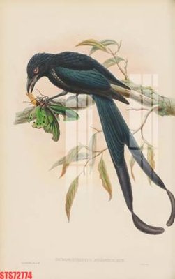 Download file Tranh sơn dầu phương tây tổng hợp STS72774 (gốc) cho xưởng in