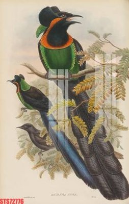 File gốc in mica Tranh sơn dầu phương tây tổng hợp STS72776 chất lượng