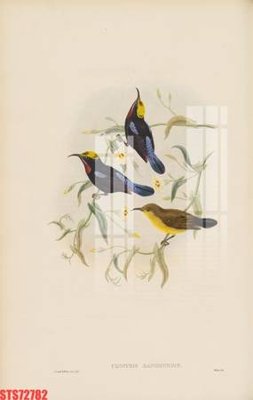 Download file gốc Tranh sơn dầu phương tây tổng hợp STS72782 (in lụa) cao cấp