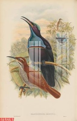 Hình ảnh file gốc Tranh sơn dầu phương tây tổng hợp STS72787 cho in UV