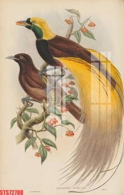 Tải file Tranh sơn dầu phương tây tổng hợp STS72788 (gốc) in ấn chất lượng