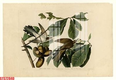 File gốc Tranh sơn dầu phương tây tổng hợp STS72840 (in tráng gương) sang trọng