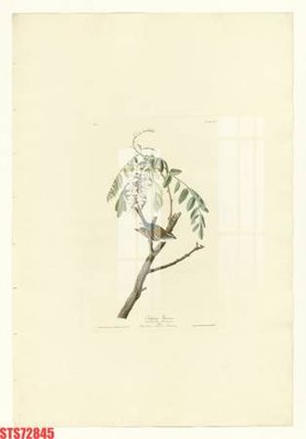 File tranh Tranh sơn dầu phương tây tổng hợp STS72845 (ảnh gốc) in trần 3D