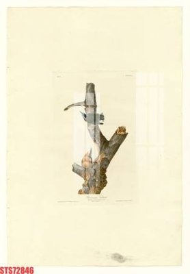 File gốc Tranh sơn dầu phương tây tổng hợp STS72846 (bản quyền) cho in ấn