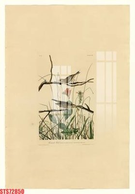 File gốc Tranh sơn dầu phương tây tổng hợp STS72850 (in tráng gương) ốp tường