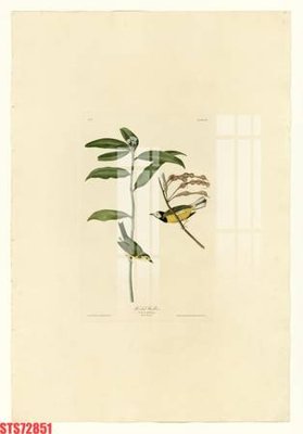 Tải file Tranh sơn dầu phương tây tổng hợp STS72851 (gốc) in ấn ngay lập tức