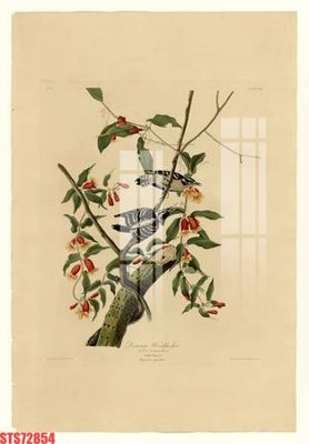 Download file gốc Tranh sơn dầu phương tây tổng hợp STS72854 (in mica) logo