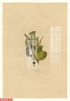 Chi tiết file ảnh Tranh sơn dầu phương tây tổng hợp STS72856 sắc nét