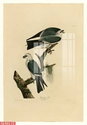 File tranh Tranh sơn dầu phương tây tổng hợp STS72859 (gốc) in vải canvas