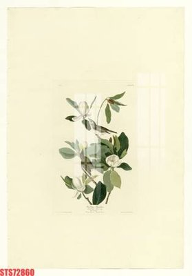 Tải file Tranh sơn dầu phương tây tổng hợp STS72860 (gốc) làm file tranh quảng cáo