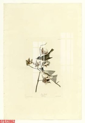 Download file gốc Tranh sơn dầu phương tây tổng hợp STS72862 (in lụa) cao cấp