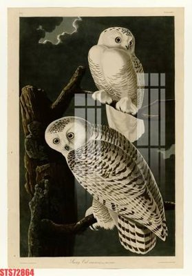 Tệp tin gốc Tranh sơn dầu phương tây tổng hợp STS72864 (chất lượng) Tranh sơn dầu phương tây tổng hợp STS72864