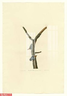 File ảnh Tranh sơn dầu phương tây tổng hợp STS72868 (gốc) trang trí khách sạn