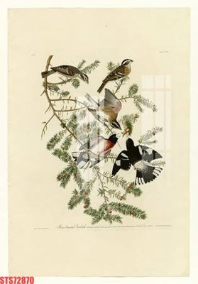 File gốc in tráng gương Tranh sơn dầu phương tây tổng hợp STS72870 chi tiết