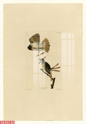 File ảnh Tranh sơn dầu phương tây tổng hợp STS72872 (gốc) in backdrop sự kiện