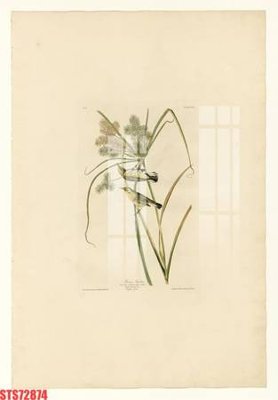 Tải file Tranh sơn dầu phương tây tổng hợp STS72874 (ảnh gốc) 300dpi Tranh sơn dầu phương tây tổng hợp STS72874