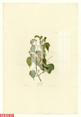 Tải file gốc Tranh sơn dầu phương tây tổng hợp STS72878 (in tráng gương) 3DFile gốc Tranh sơn dầu phương tây tổng hợp STS72878 (sẵn sàng in) chất lượng cao