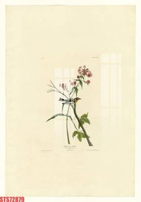 File in trần Tranh sơn dầu phương tây tổng hợp STS72879 (file gốc) phong thủy