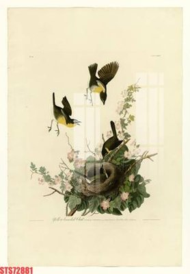 File gốc Tranh sơn dầu phương tây tổng hợp STS72881 (cho in 3D) độc đáo